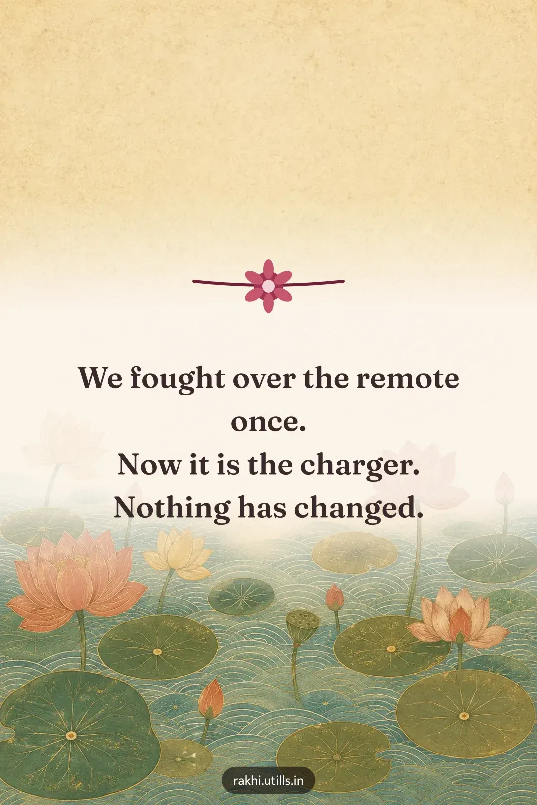 We fought over the remote once.
Now it is the charger.
Nothing has changed.